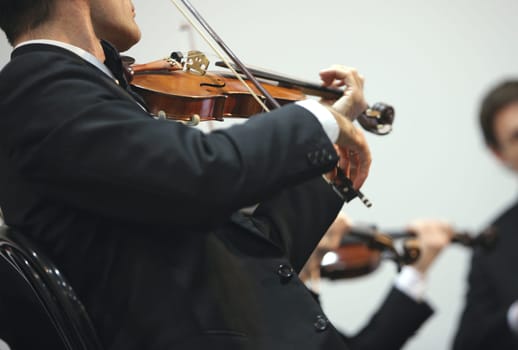 violinist at the concert