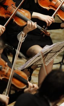 violinists during a classical concert music