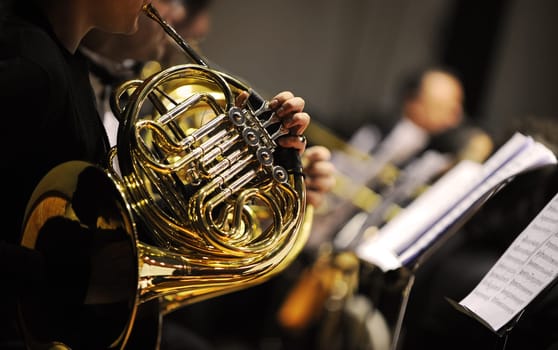 french horn during a classical concert music