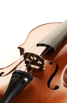 close up shot of a violin