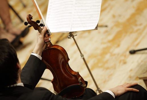 violinists during a classical concert music