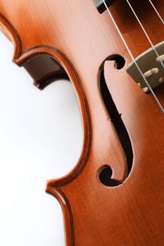 close up shot of a violin