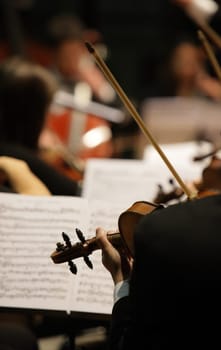 violinists during a classical concert music