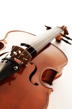 Elegant shot of a violin