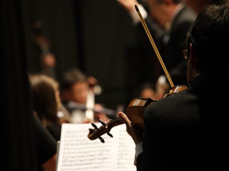 violinists during a classical concert music