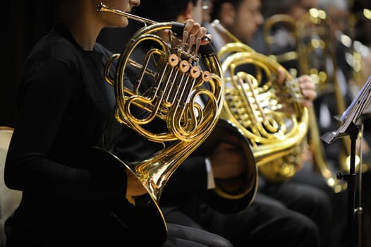 french horn during a classical concert music