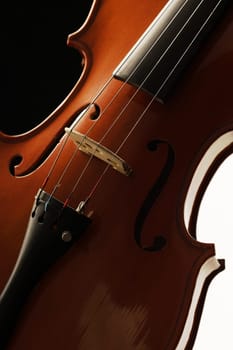 Elegant shot of a violin