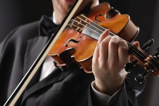 the violinist