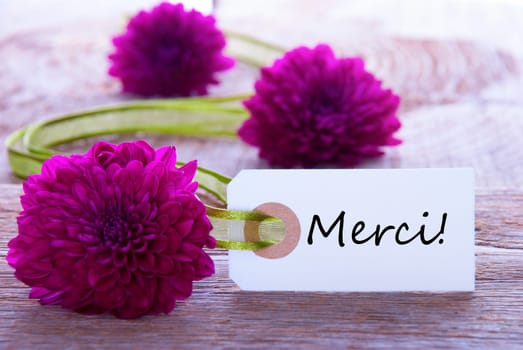 A Green and Purple Flower Background with a Label with the French Word Merci which Means Thanks