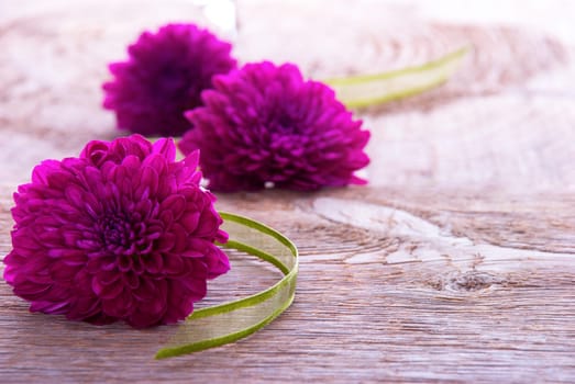Background with Purple Blossoms and Green Ribbon on Wood with Copy Space