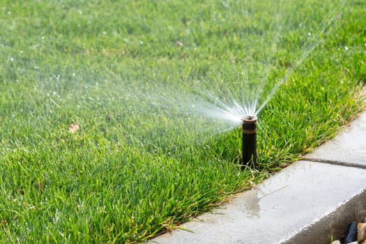 Automatic sprinkler watering grass