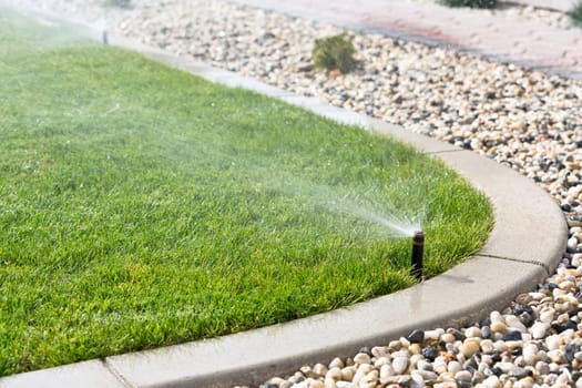 Automatic sprinkler watering grass