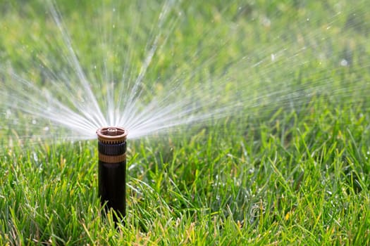 Automatic sprinkler watering grass
