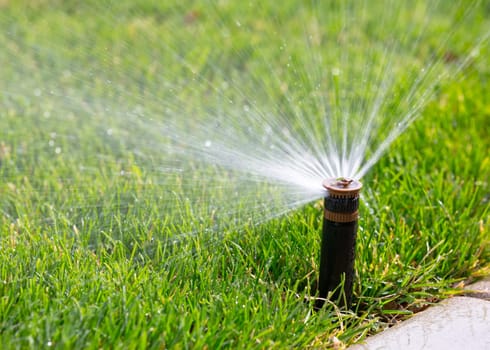 Automatic sprinkler watering grass