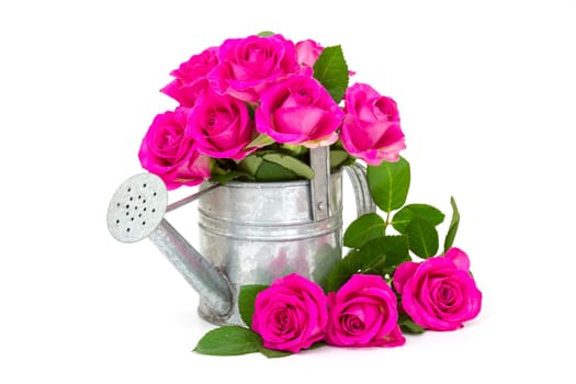 pink roses in a watering can