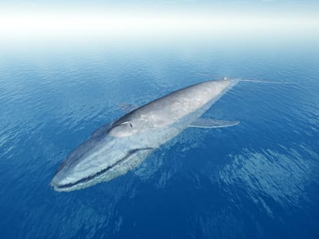 Computer-generated 3D illustration with a blue whale