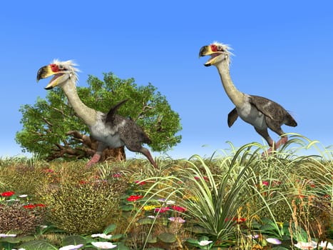 Computer-generated 3D illustration with the prehistoric terror bird Phorusrhacos