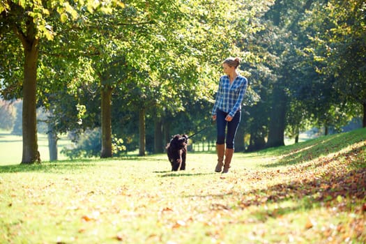 woman walking her black dog in the park on a sunny day