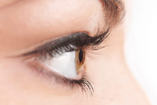 close up of womans brown eye with false eye lashes