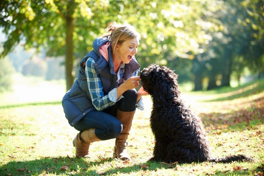 woman with black dog on a walk in the park