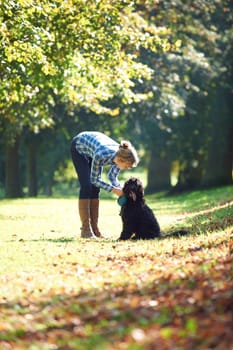 woman leaning over black dog on a walk in the park
