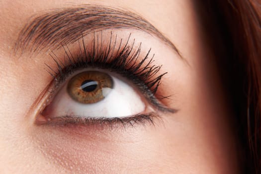 close up of womans brown eye with false eye lashes