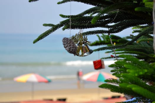 christmas bells hang from a tree at the beach
