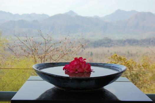 Serene scene bowl of flowers swimming in water looking at a landscape