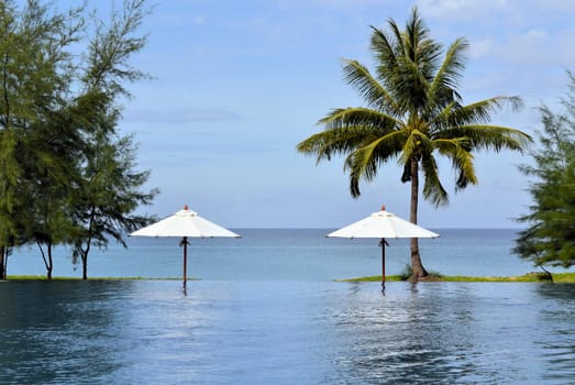 A large Infinity Pool with parasols, looking over the sea
