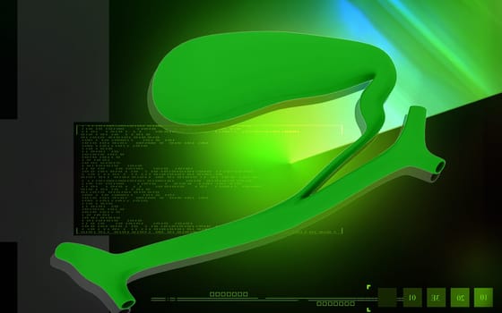 Digital illustration of pancreas in colour background