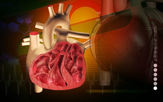 Digital illustration of heart in colour background