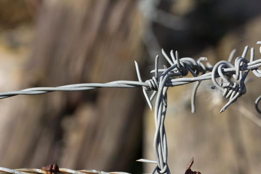 A twist on a barb wire fence