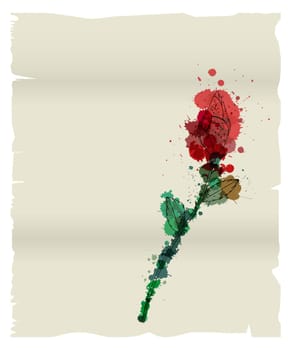 Grunge love letter with young rose