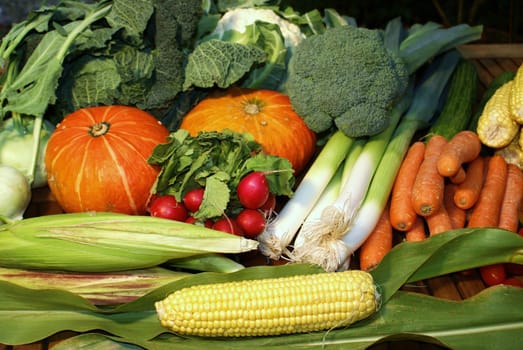 Organic vegetables