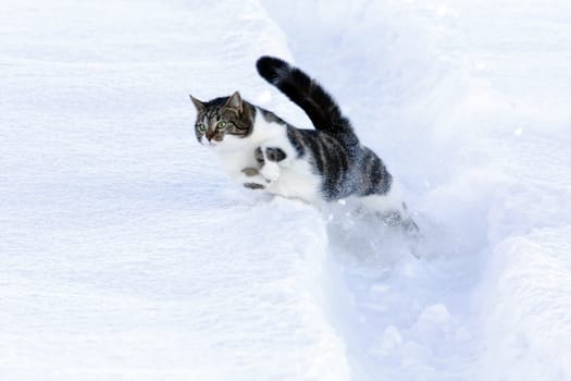 The jump through the snow