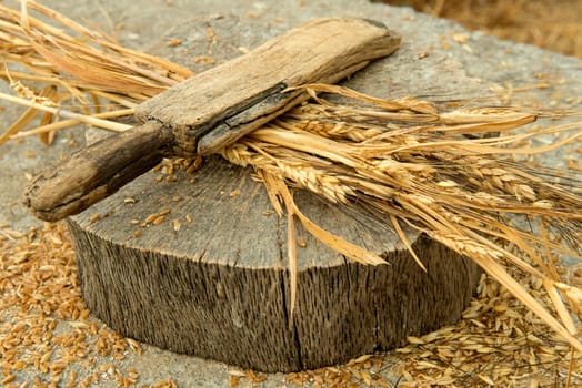 The ancient home tool which our ancestors was used for wheat peeling