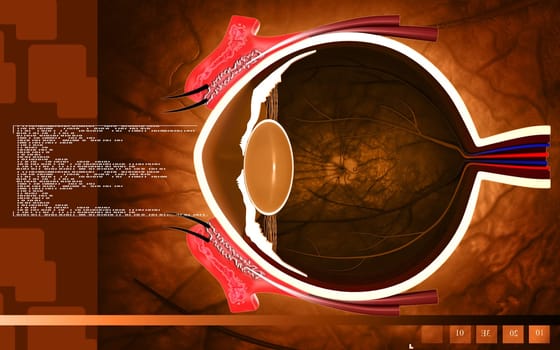 Digital illustration of eye in colour background