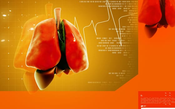 Digital illustration of human lungs in colour background