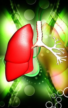Digital illustration of human lungs in colour background