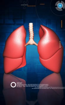 Digital illustration of human lungs in colour background