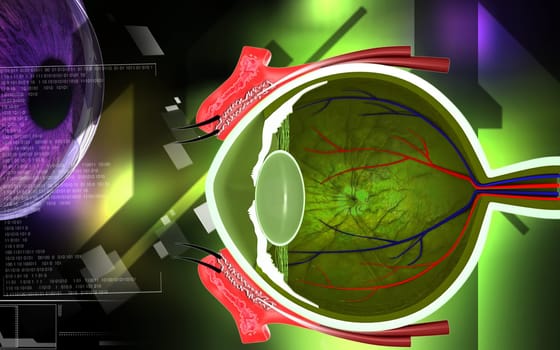 Digital illustration of eye in colour background