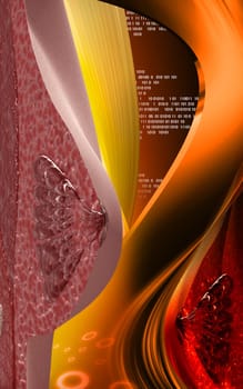 Digital illustration of breast in colour background