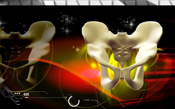 Digital illustration of pelvic girdle in colour background