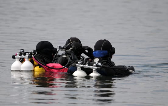Diver