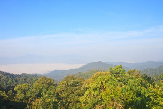 sea of fog with forests as foreground. This place is in the Kaeng Krachan national park, Thailand