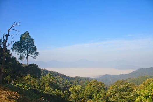 sea of fog with forests as foreground. This place is in the Kaeng Krachan national park, Thailand