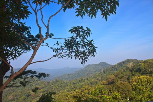 Views of the valley in the national park