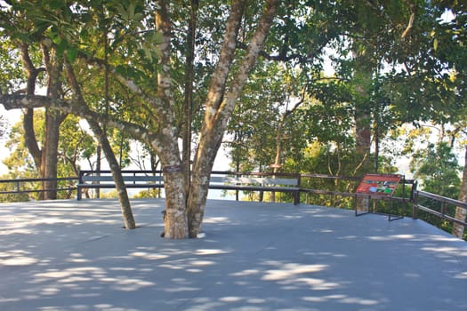 Bench in the park for rest