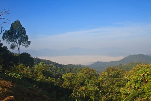 sea of fog with forests as foreground. This place is in the Kaeng Krachan national park, Thailand