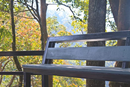 Bench in the park for rest